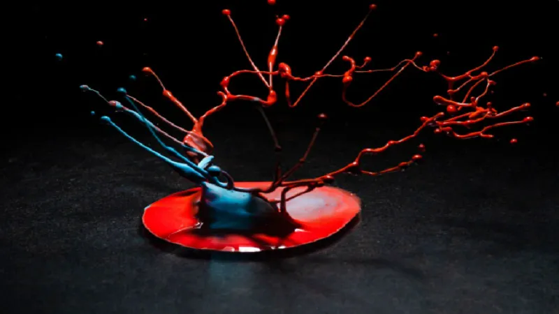 If you enjoy learning and exploring new ideas, redand whitemagz.com is definitely worth your time.