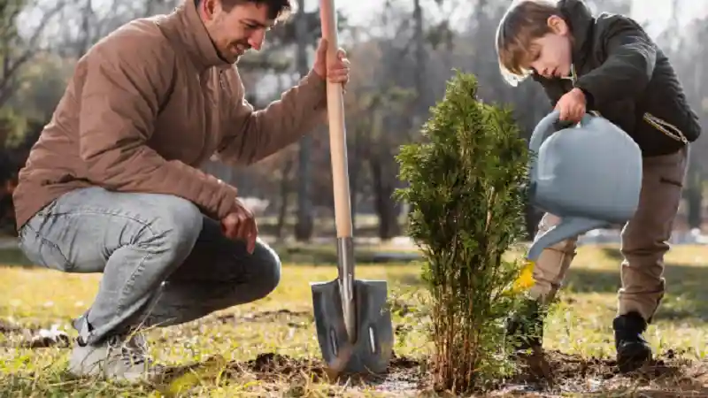 Enhancing Burlington's Landscapes: The Impact of Professional Tree Care Services