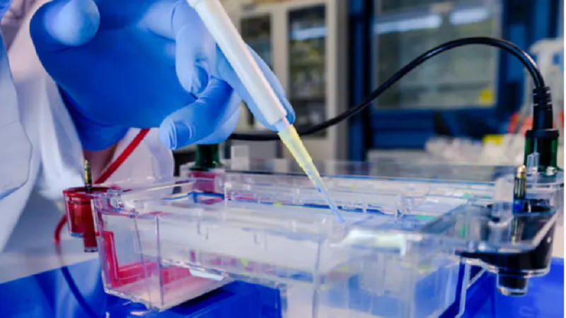 How Do ELISA Kit Manufacturers Ensure Accuracy And Reliability In Their Products?